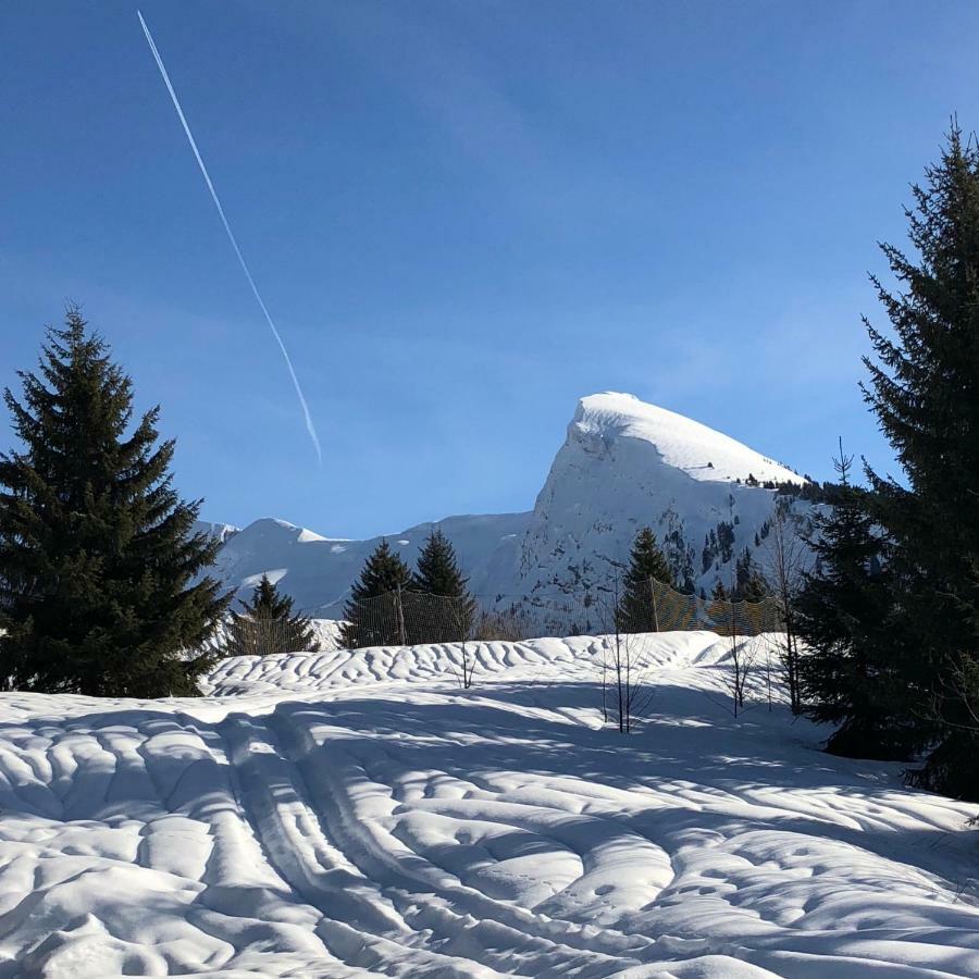 L'Ours Blanc Lodge Le Biot 외부 사진